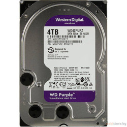  Жесткий диск 4TB WD Purple [WD42PURZ]  - фото